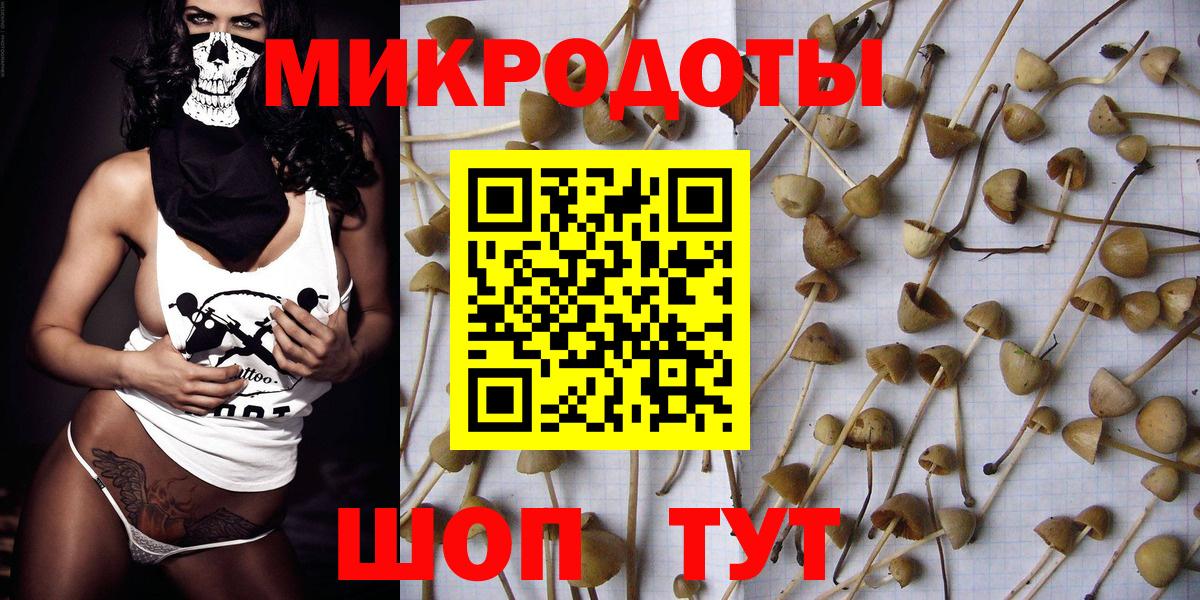 Галлюциногенные грибы MAGIC MUSHROOMS Каспийск
