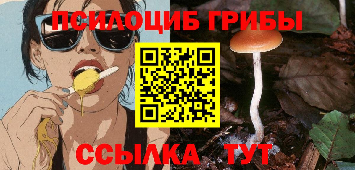Каспийск  Псилоцибиновые грибы Cubensis  Вход с VPN 